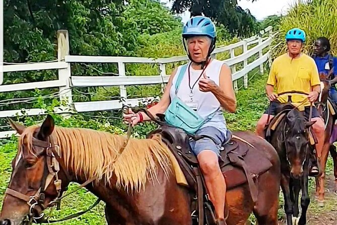 Horseback Riding, A Scenic Escape - Highlights From Customer Reviews