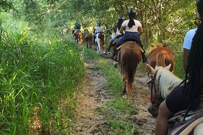 Horseback Riding, A Scenic Escape - Booking Your Stay