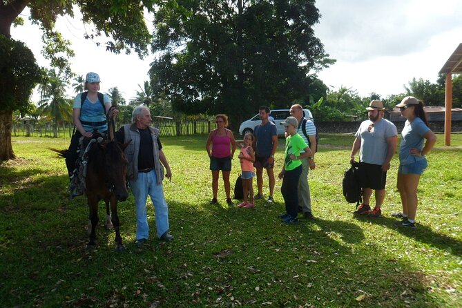 Horseback Riding Across Indigenous Trails Puerto Plata - About Your Stay