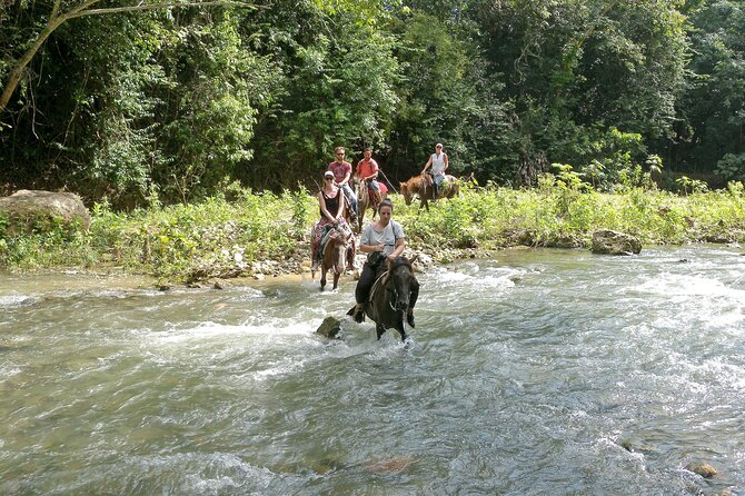 Horseback Riding Across Indigenous Trails Puerto Plata - Transportation and Meeting Details