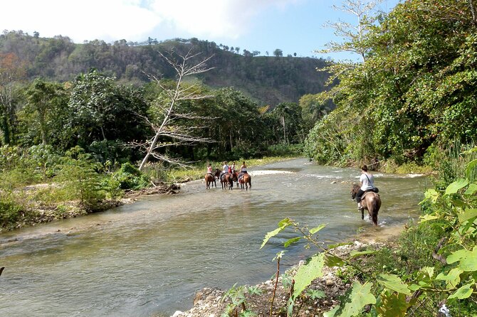 Horseback Riding Across Indigenous Trails Puerto Plata - Inclusions and Exclusions