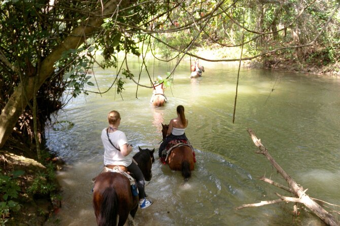 Horseback Riding Across Indigenous Trails Puerto Plata - Feedback and Reviews
