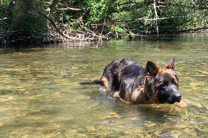 Horseback Riding Across River Ljuta With Transport - Booking Information