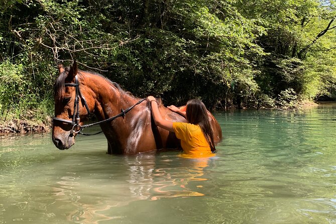 Horseback Riding Across River Ljuta With Transport - Rider Fitness Requirements