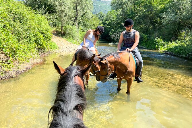 Horseback Riding Across River Ljuta With Transport - Recap