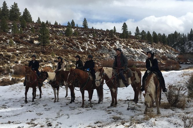 Horseback Riding Adventure From Reno - Tour Reviews and Ratings