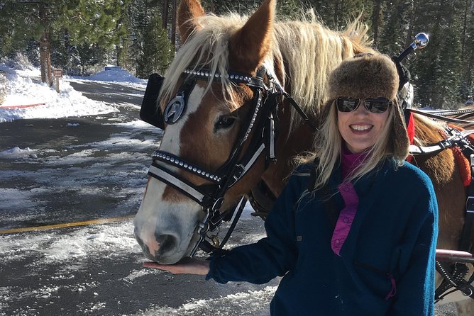 Horseback Riding Adventure From Reno - Booking and Cancellation Policy