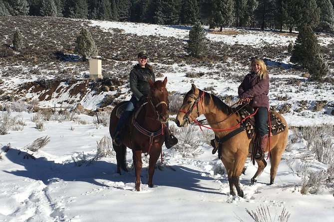Horseback Riding Adventure From Reno - Additional Considerations