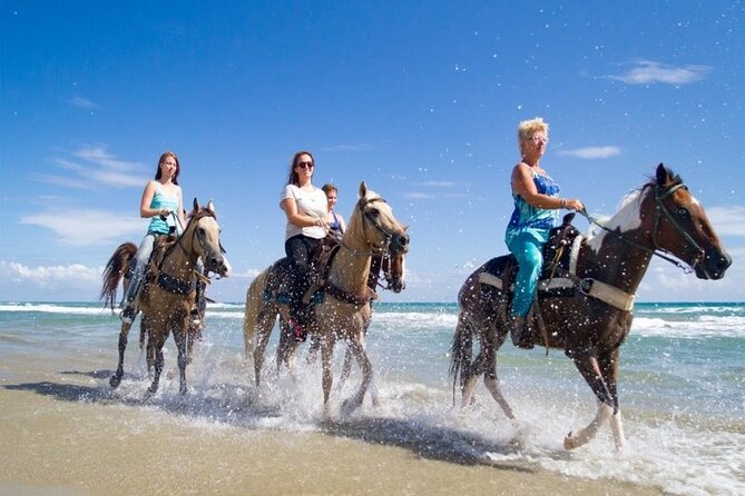 Horseback Riding Adventure in Punta Cana - Reviews and Feedback