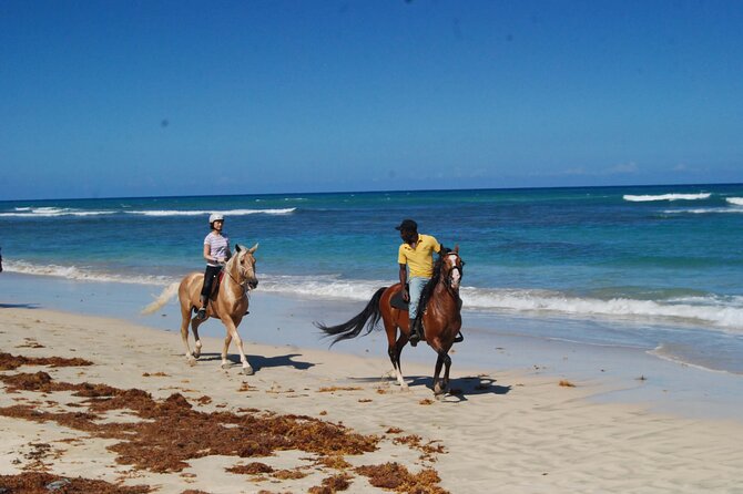 Horseback Riding Adventure Punta Cana - Pickup and Confirmation