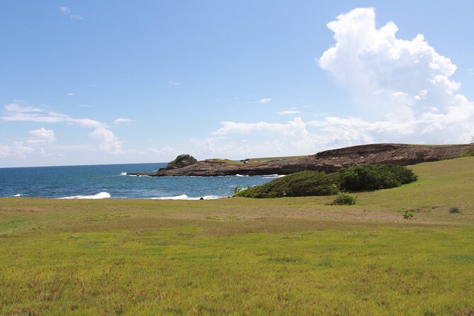 Horseback Riding Adventure Tour in St. Lucia - Activity Details