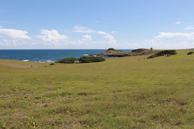Horseback Riding Adventure Tour in St. Lucia - Pricing and Availability