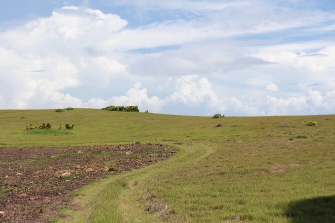 Horseback Riding Adventure Tour in St. Lucia - Customer Reviews
