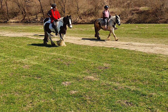 Horseback Riding Adventure Tour Through Brasov Landscape - Key Points