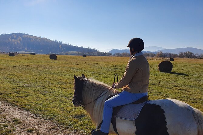 Horseback Riding Adventure Tour Through Brasov Landscape - Connecting With Horses and Guides