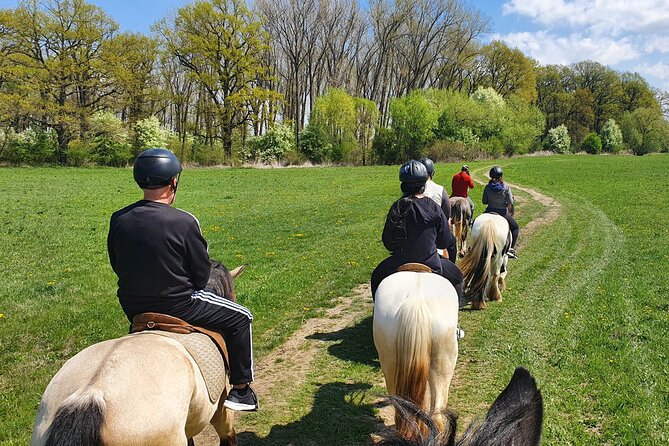 Horseback Riding Adventure Tour Through Brasov Landscape - Delectable Traditional Romanian Lunch