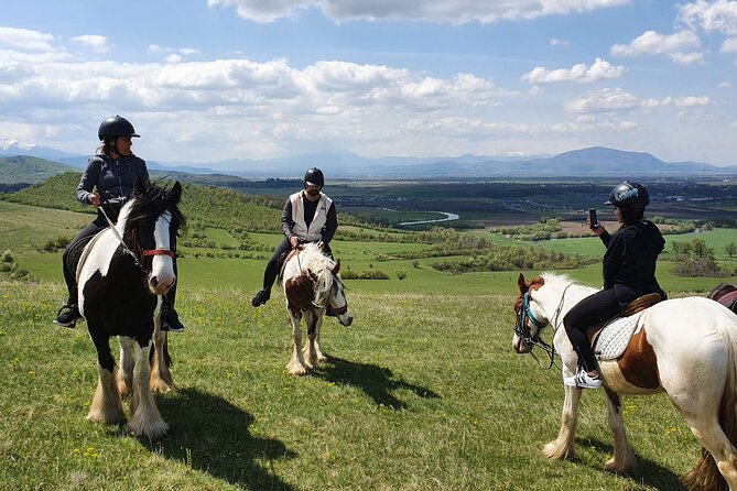 Horseback Riding Adventure Tour Through Brasov Landscape - Comfortable Transportation and Logistics