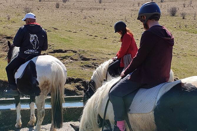 Horseback Riding Adventure Tour Through Brasov Landscape - Positive Traveler Experiences and Feedback