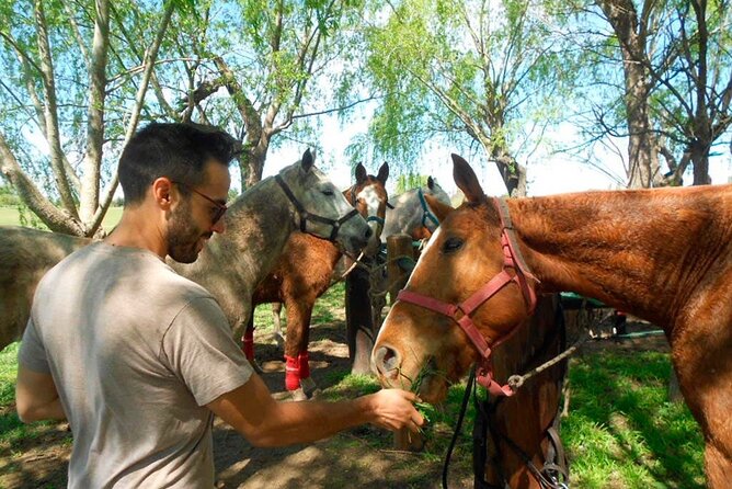 Horseback Riding Adventure With Asado in Buenos Aires! - Important Considerations