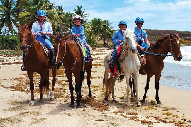 Horseback Riding Along the Beach - About Your Stay