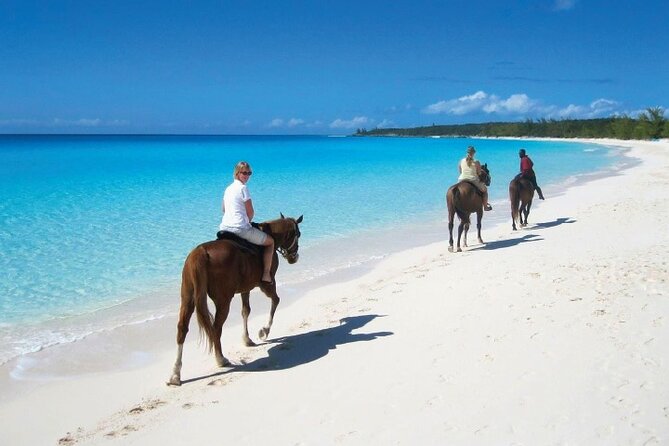 Horseback Riding Along the Beach - Transportation and Pickup Details