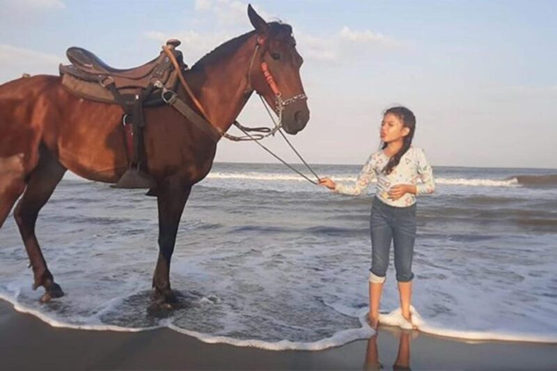 Horseback Riding Along the Beaches of Cartagena at Sunset - Restrictions