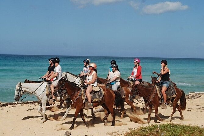 Horseback Riding Along the Beaches of Punta Cana and Macao - About Your Stay