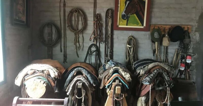 Horseback Riding and Argentine Barbecue - Experience Highlights