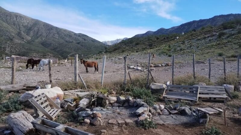 Horseback Riding and Argentine Barbecue - Food and Beverages