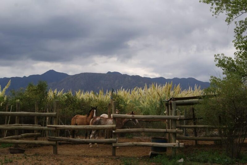 Horseback Riding and Argentine Barbecue - Transportation and Logistics