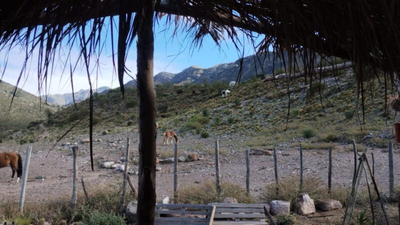 Horseback Riding and Argentine Barbecue - Unique Views and Landscapes