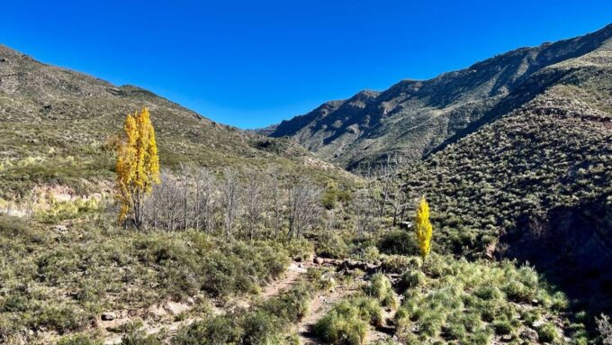 Horseback Riding and Argentine Barbecue - Horseback Riding Adventure