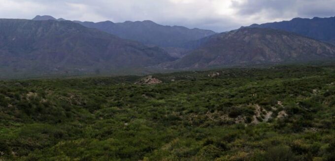 Horseback Riding and Argentine Barbecue - Important Considerations