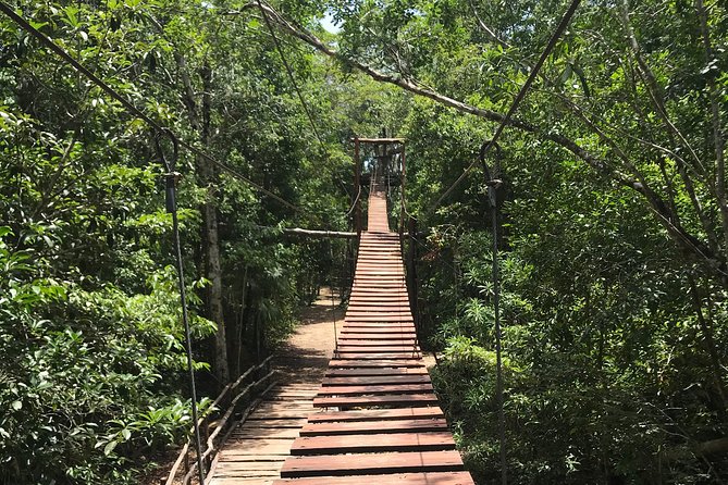 Horseback Riding and ATV in the Jungle. Zip Line & Cenote in Quintana Roo. - Customer Feedback