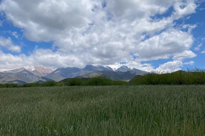 Horseback Riding and Barbecue in a Private Ranch - La Carrera, Mendoza - Key Points