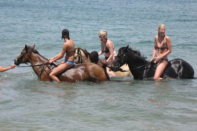 Horseback Riding and Beach BBQ in St Lucia - Overview of the Tour