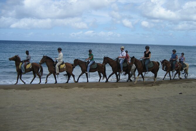 Horseback Riding and Beach BBQ in St Lucia - Preparing for the Adventure