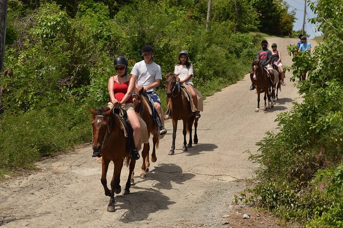 Horseback Riding and Beach BBQ in St Lucia - Accessibility and Fitness Level