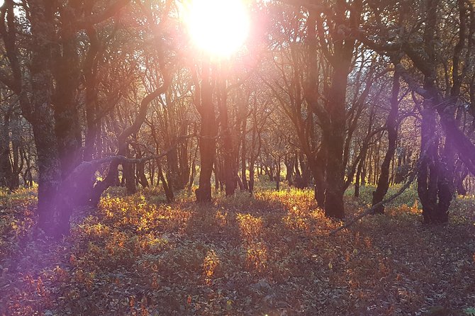 Horseback Riding and Camping in the Mountains - Key Points