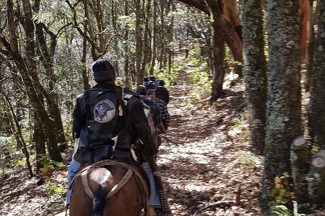 Horseback Riding and Camping in the Mountains - Pickup and Transportation