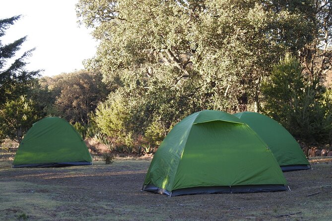 Horseback Riding and Camping in the Mountains - Booking and Pricing