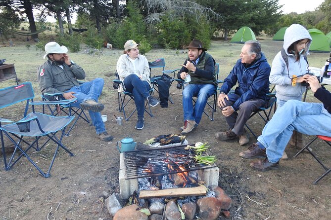 Horseback Riding and Camping in the Mountains - Highlights and Experiences