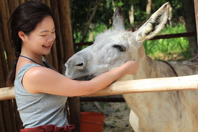 Horseback Riding and Cenote Swim From Cancun or Playa Del Carmen - Tour Group Size and Accessibility