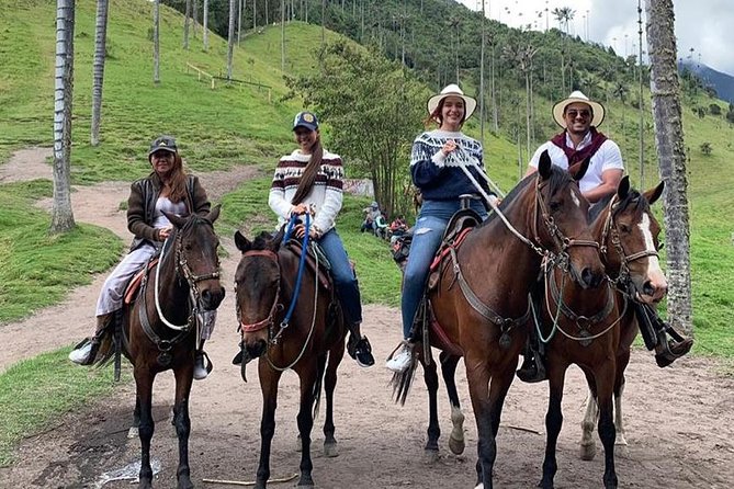 Horseback Riding and Excursion in Cocora Valley - Tour Details