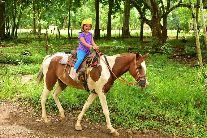 Horseback Riding and Natural Swimming Pools / Jacó Beach - Key Points