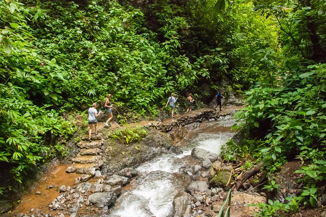 Horseback Riding and Natural Swimming Pools / Jacó Beach - Activity Highlights