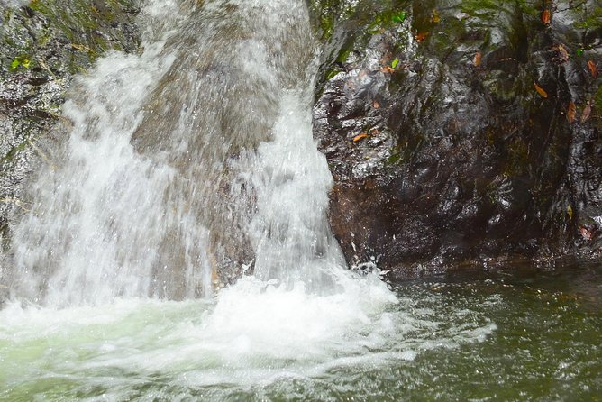 Horseback Riding and Natural Swimming Pools / Jacó Beach - Wildlife Sightings