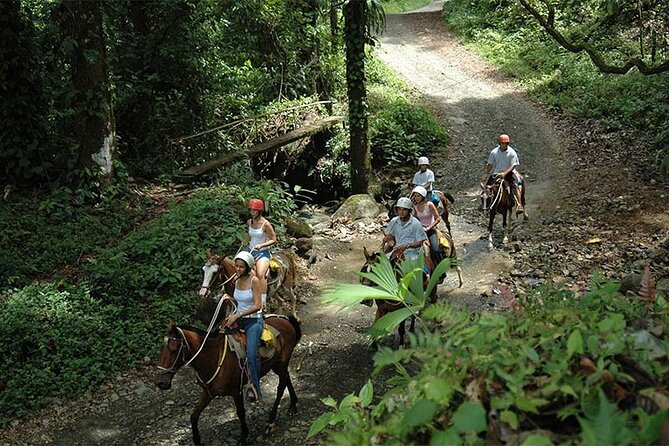 Horseback Riding and Natural Swimming Pools / Jacó Beach - Booking Details