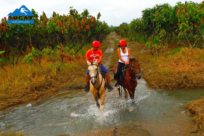 Horseback Riding and Shuar Community Near Guayaquil Private Trip - Key Points
