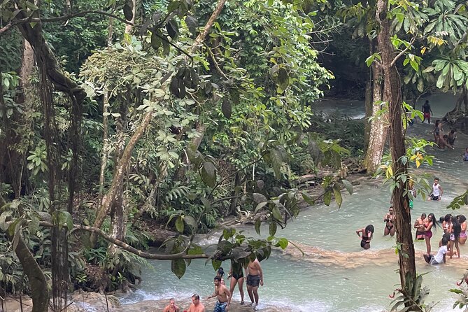 Horseback Riding and Swimming in Dunns River Falls - Customer Reviews and Feedback